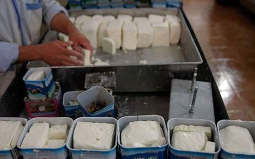 قیمت انواع پنیر صبحانه در بازار / هر کیلو پنیر لیقوان چند؟