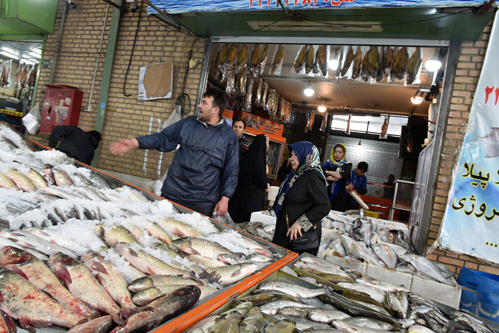 مصرف ماهی ۵۰ درصد کاهش پیدا کرد/ نرخ برخی از ماهی‌های صیدی به ۸۰۰ هزار تومان رسید