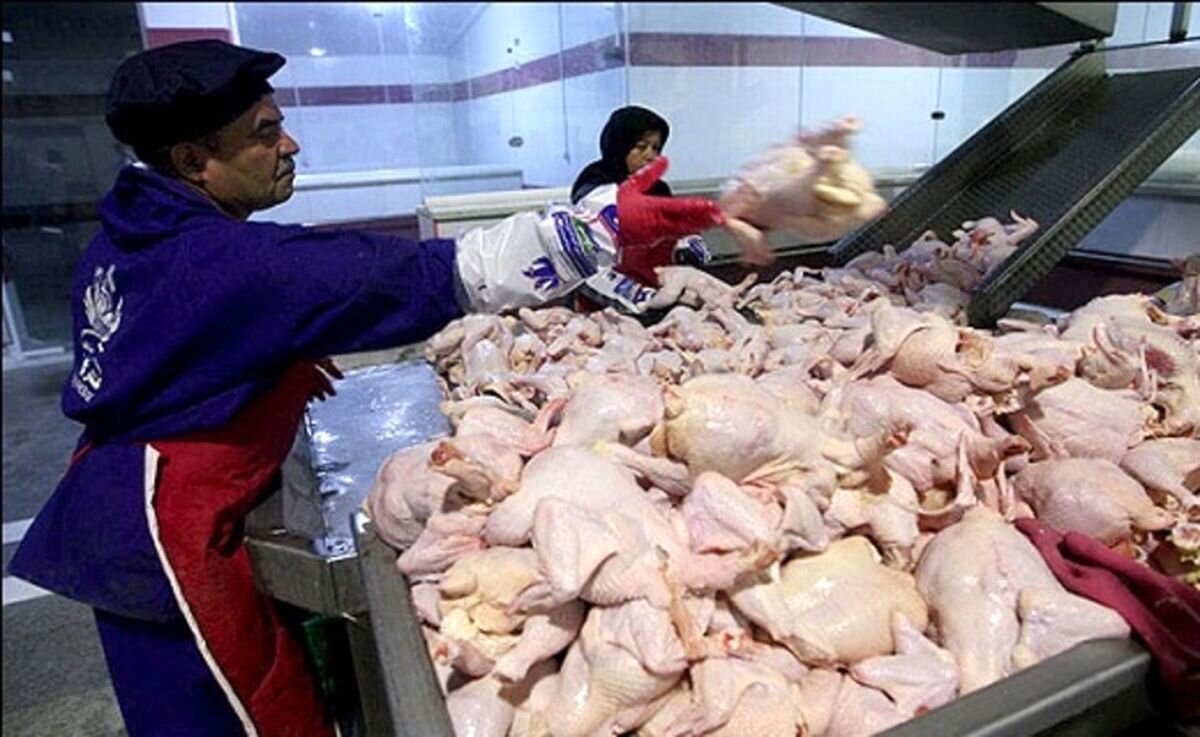قدرت کارشناسی کیهان بالاخره علت افزایش قیمت مرغ را تشخیص داد