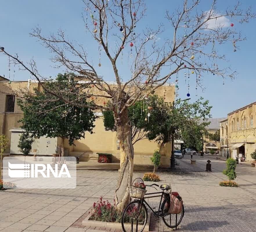 ماجرای قطع درخت آرزوها در شیراز چه بود؟