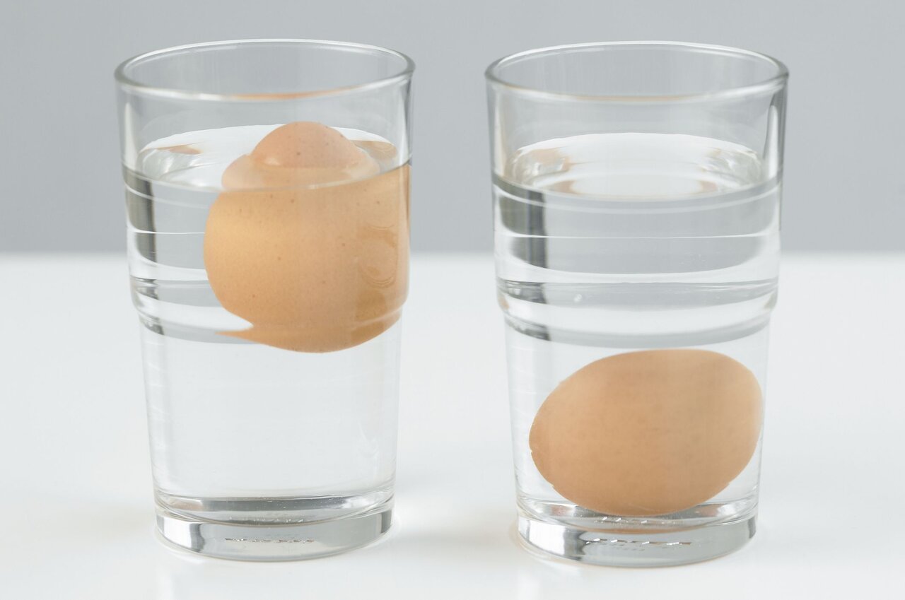 تشخیص تخم‌مرغ سالم با ۵ روش ساده