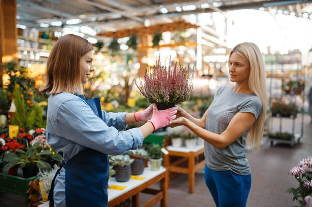 راهنمای کاربردی خرید گل و گیاه