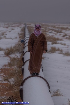 تصاویر جالب از بارش برف در عربستان