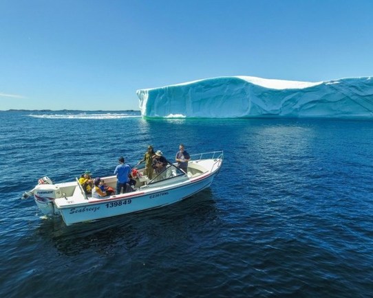 کوه های یخ در سواحل کانادا (+عکس)