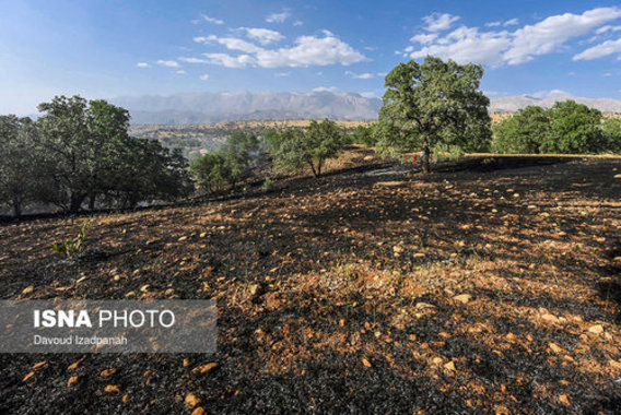 آتش‌سوزی در جنگل های زاگرس (+عکس)