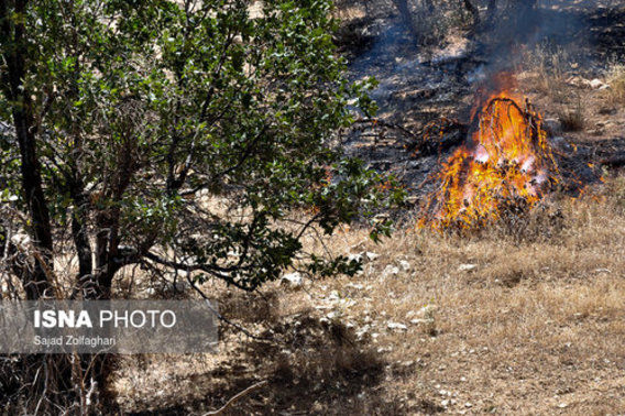 آتش‌سوزی در جنگل های زاگرس (+عکس)