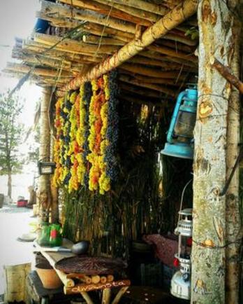 جشن انگور در ارومیه (عکس)