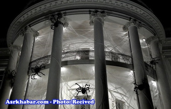 کاخ سفید در محاصره عنکبوت ها (عکس)