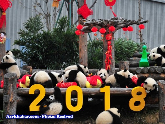 تصاویر جشن سال نو چینی