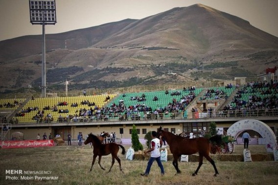 دومین جشنواره ملی اسب اصیل کرد (عکس)