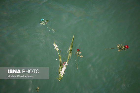 بزرگداشت شهدای هواپیمای ایرباس در خلیج‌فارس (+عکس)