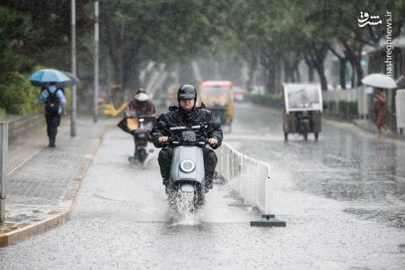 بارش باران تابستانی در چین (+عکس)