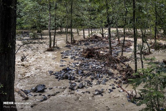 خسارت سیل در روستاهای تالش (+عکس)