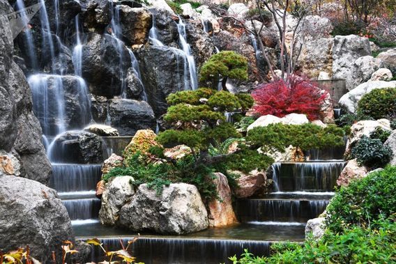 باغ ژاپنی در شبه جزیره کریمه (+عکس)