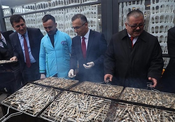 ضیافت‌های رایگان ماهی کیلکا در ترکیه (+عکس)