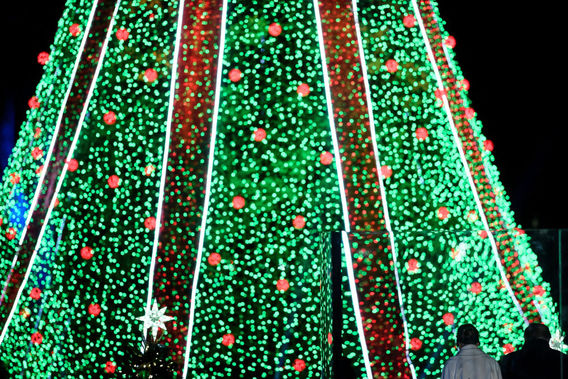 عجیب ترین و جذاب ترین درختان کریسمس در جهان (+عکس)