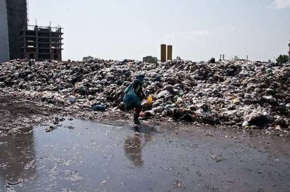 فاجعه زیست محیطی در ساحل محمودآباد (+عکس)