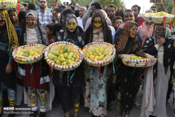 جشنواره شکرگزاری انبه در میناب (+عکس)