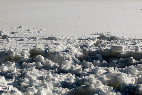 تصاویری از برف سنگین گیلان