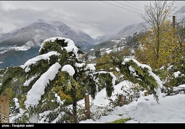 تصاویر: برف مازندران را گرفت