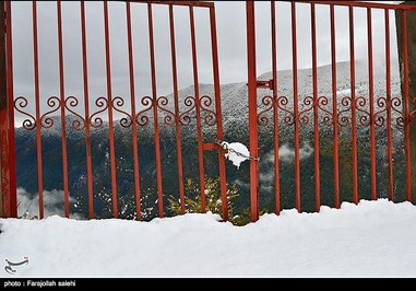 تصاویر: برف مازندران را گرفت