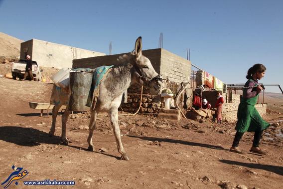 تصاویر: بازگشت زندگی به سنجار