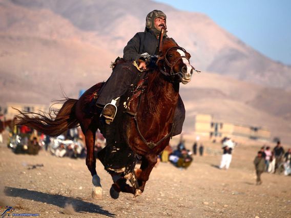 مسابقه بزکشی در افغانستان (تصاویر)