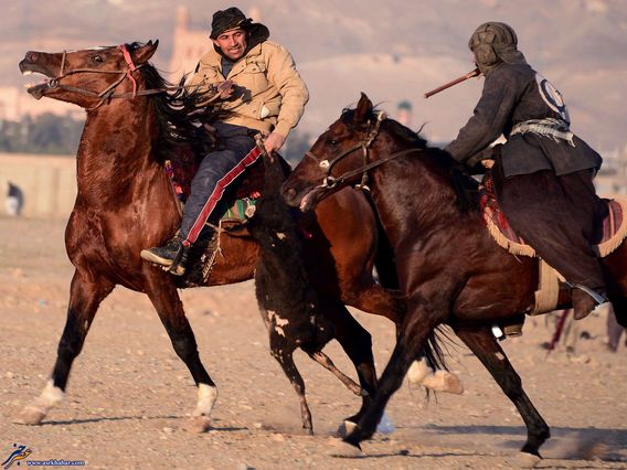 مسابقه بزکشی در افغانستان (تصاویر)