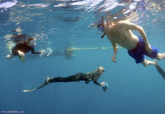 تصاویر: شنای توریست ها با کوسه