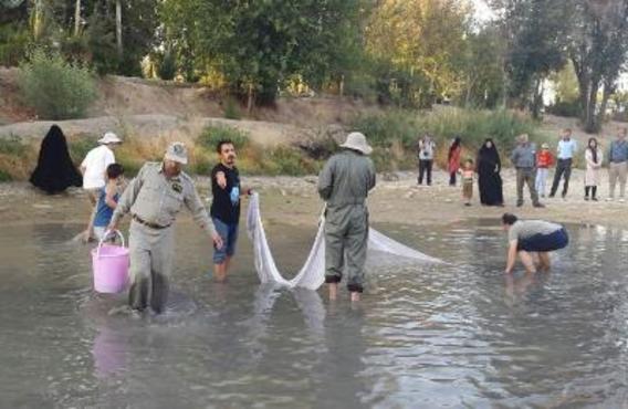 دعوت از مردم اصفهان براي نجات ماهي هاي باقيمانده در زاينده رود(+عكس)