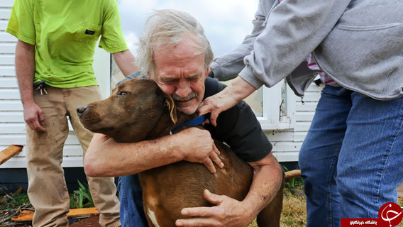در آغوش گرفتن سگ توسط صاحبش بعد از پیدا شدن در میان آوار توفان آلاباما سال 2012
