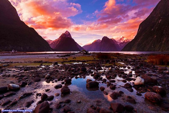 زيبايي باورنكردني نيوزلند (تصاوير)