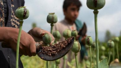وضعیت فروش تریاک در افغانستان