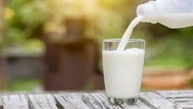 روزانه دو لیوان شیر بنوشید