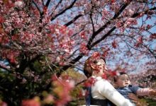 رکورد تاریخی ژاپنی ها در عدم تمایل به فرزندآوری!