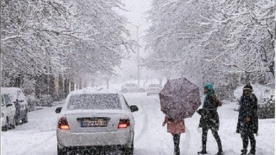 تصویری از میزان برف شدید در مشهد