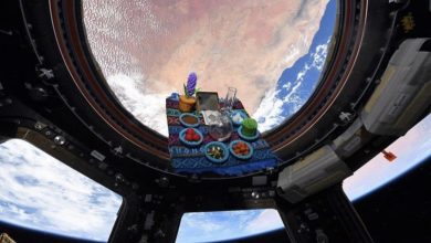 یاسمین مقبلی کنار سفره هفت‌سین در ایستگاه فضایی بین‌المللی/ عکس