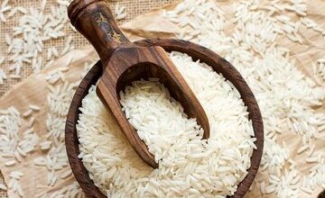 قیمت برنج ایرانی نصف شد/ توضیح یک مقام صنفی درباره قیمت برنج در بازار