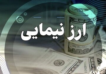 اطلاعیه جدید سامانه تجارت/ تامین ارز ۲۰ روزه شد