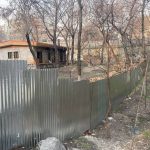 رئیس سازمان محیط زیست: در محل ساخت مسجد در پارک قیطریه، درختی وجود ندارد که قطع شود