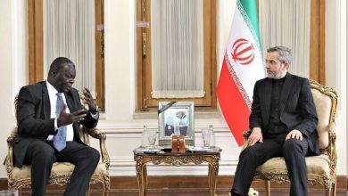 باقری کنی: ایران با حمایت مردم همواره تهدیدها را به فرصت تبدیل کرده است