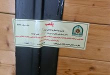 کافه سگ‌ها در تهران پلمب شد/ عکس