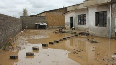 فرمانداری: روستای رحیم‌آباد صالح‌آباد زیرآب رفت/ خسارت سیل و باران به ۷۰ منزل مسکونی