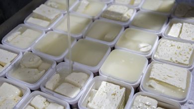 چند نوع پنیر در ایران وجود دارد؟