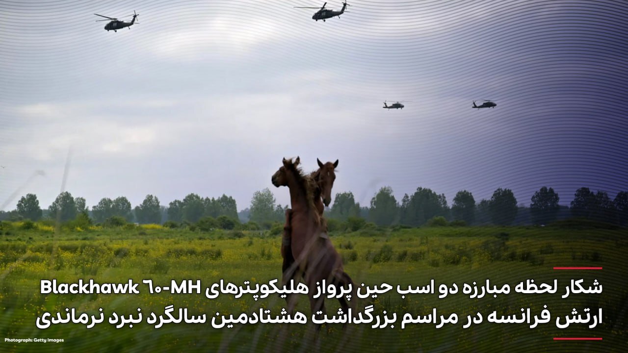 عکس | شکار لحظه مبارزه دو اسب توسط هلی‌کوپترهای ارتش فرانسه