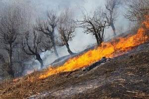 افزایش وسعت آتش‌سوزی در ارتفاعات «قلارنگ» ایلام