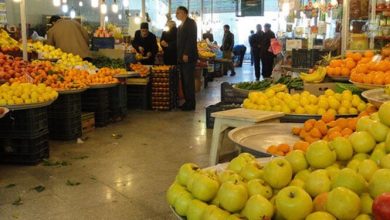 قیمت میوه‌های نوبرانه در میادین میوه و تره‌بار/ هر کیلو هلو، زردآلو، شلیل، گیلاس و انگور چند؟
