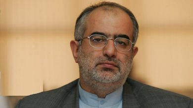 هشدار معنادار حسام الدین آشنا درباره مصوبات دولت سیزدهم بعد از شهادت رئیسی