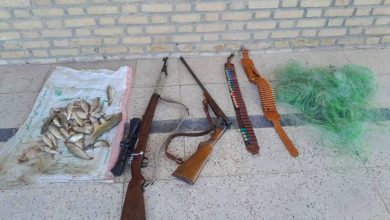 دستگیری صیاد غیر مجاز با انواع سلاح‌های شکار