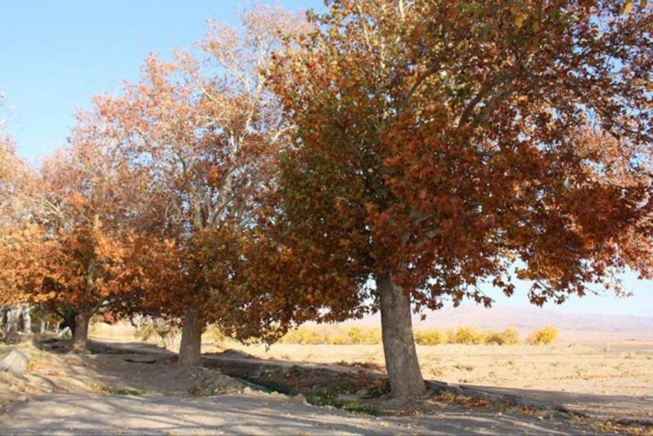 گستره ایران به احتمال ۵۰ تا ۷۰ درصد در پاییز خشکسالی را تجربه می‌کنند